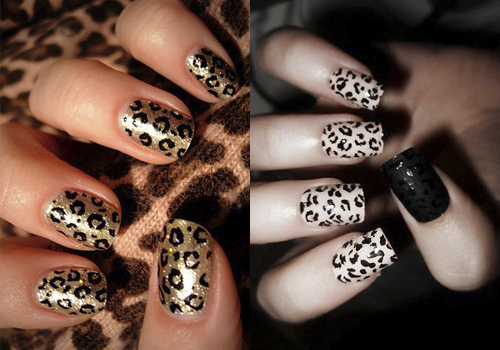unhas leopardo